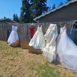 Wedding Dresses