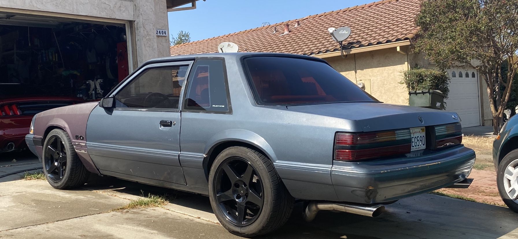 Fox body Parts