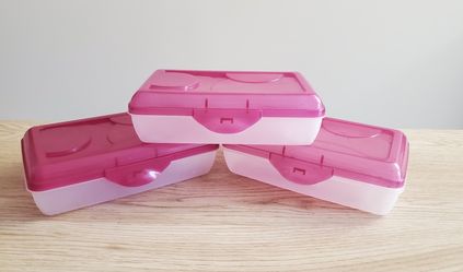 SET of 3 Plastic Pencil / Storage Boxes