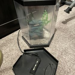 3 Gallon Fish Tank With Gravel And decor