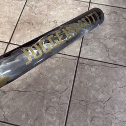 Slowpitch Softball Bat