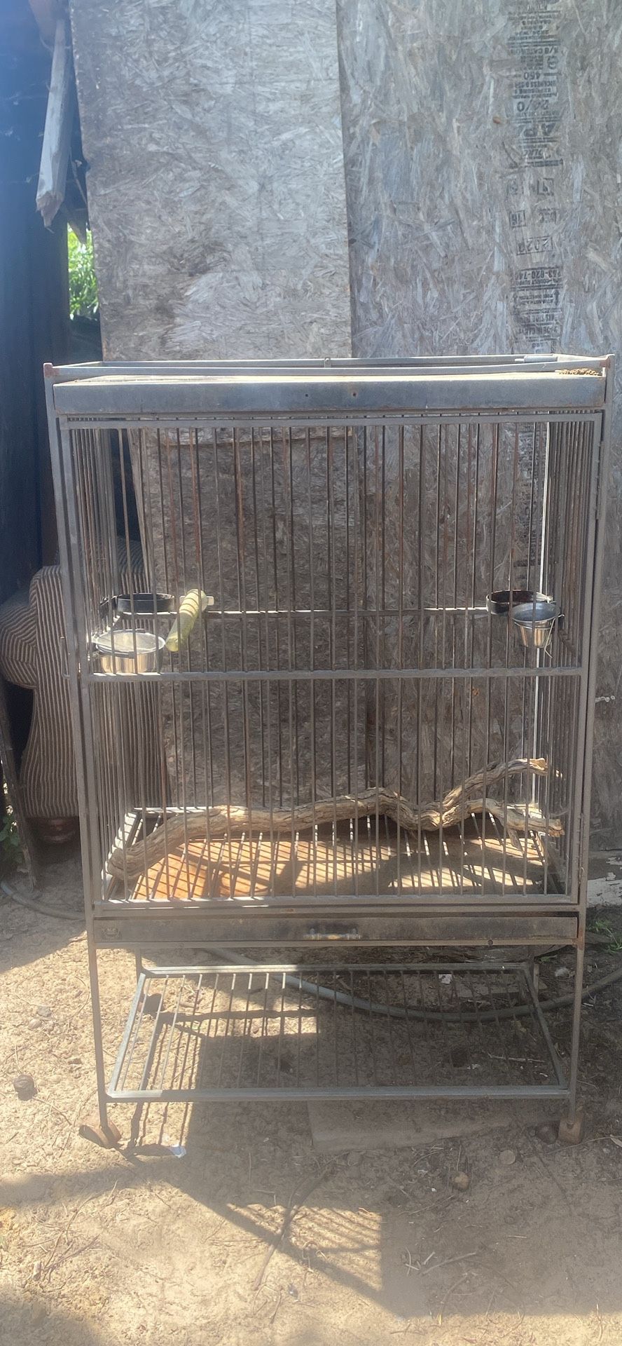 Bird Cage