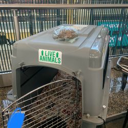 36 Inch Dog Crate