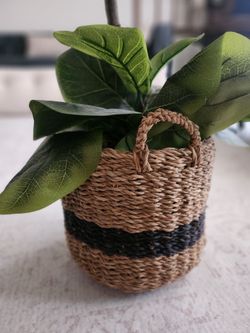 5 foot tall artificial fiddle leaf fig tree in gorgeous woven basket with handles