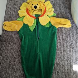 Whinnie The Pooh Flower Costume 0-3 Months 