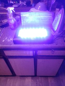 Saltwater fish tank light