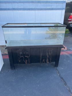 Fish tank stand