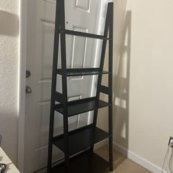 Ladder Bookshelves 