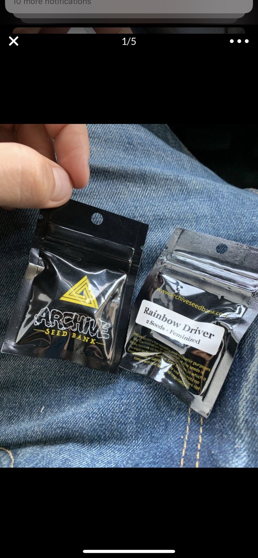 Extremely Rare seeds, rainbow driver, weed, cannabis, archive seed bank