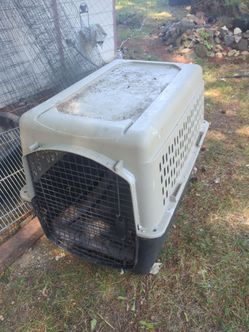 Dog Kennels Free