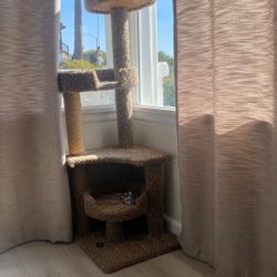 Cat Tree Free