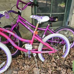2 Girls Bikes
