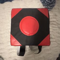 Wall mounted punching target
