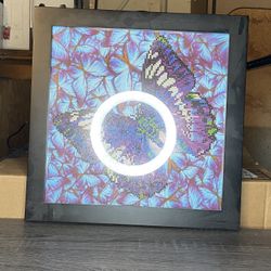 Butterfly Diamond Dots Painting 