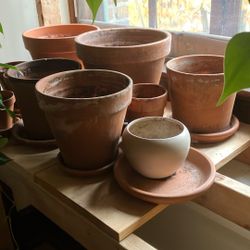 Plant Pots 