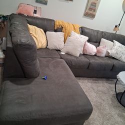 Gray sectional