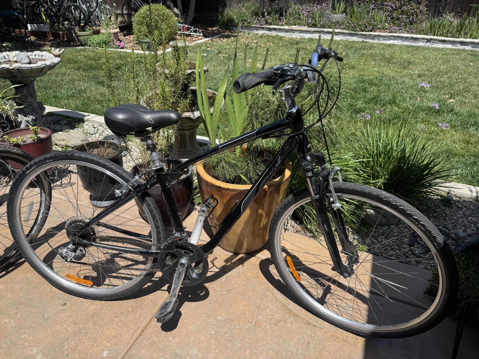Giant Hybrid Bike