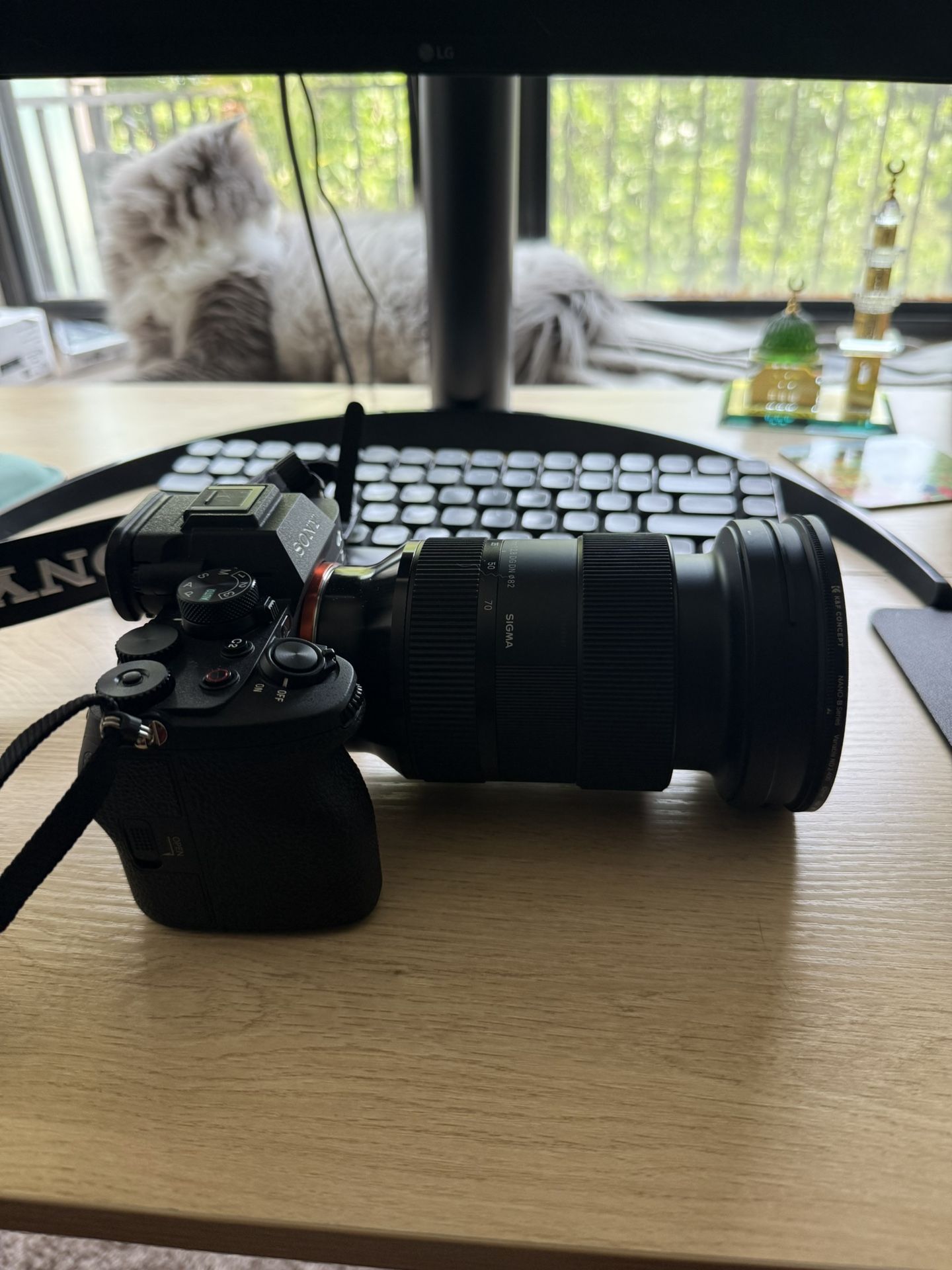 Sony a7iv and sigma 24-70mm f2.8