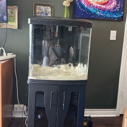 Coral life | 32 Gallon BioCube Aquarium