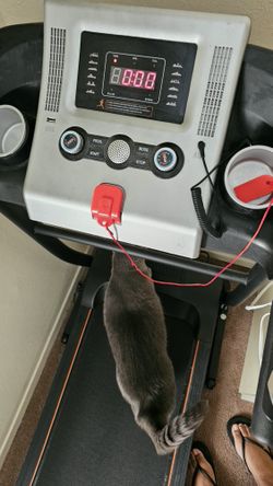 Treadmill