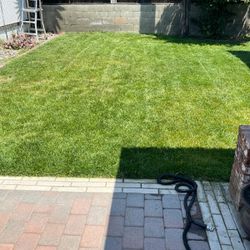 Jardinero/Lawn Gardener