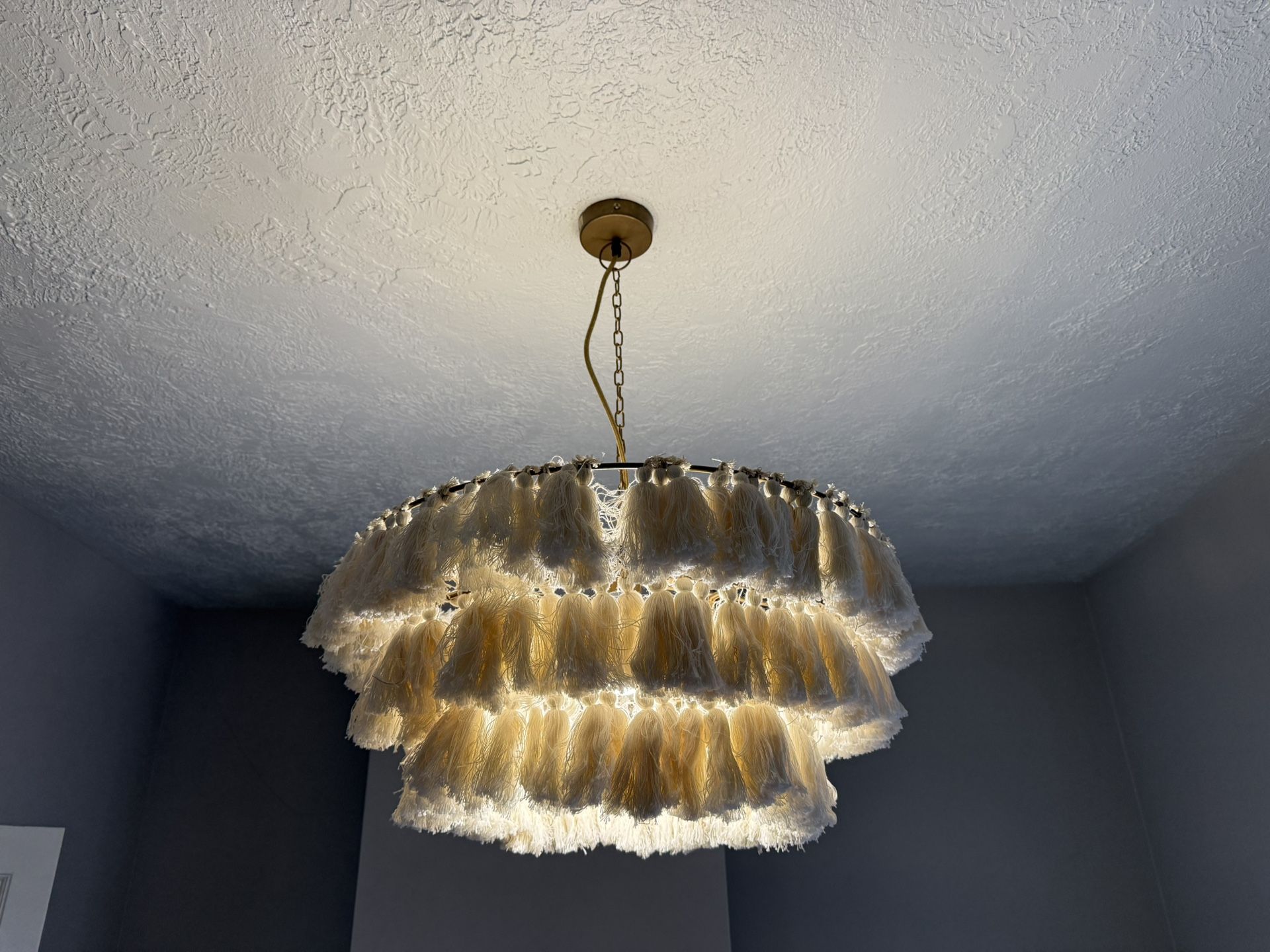 Light Fixture