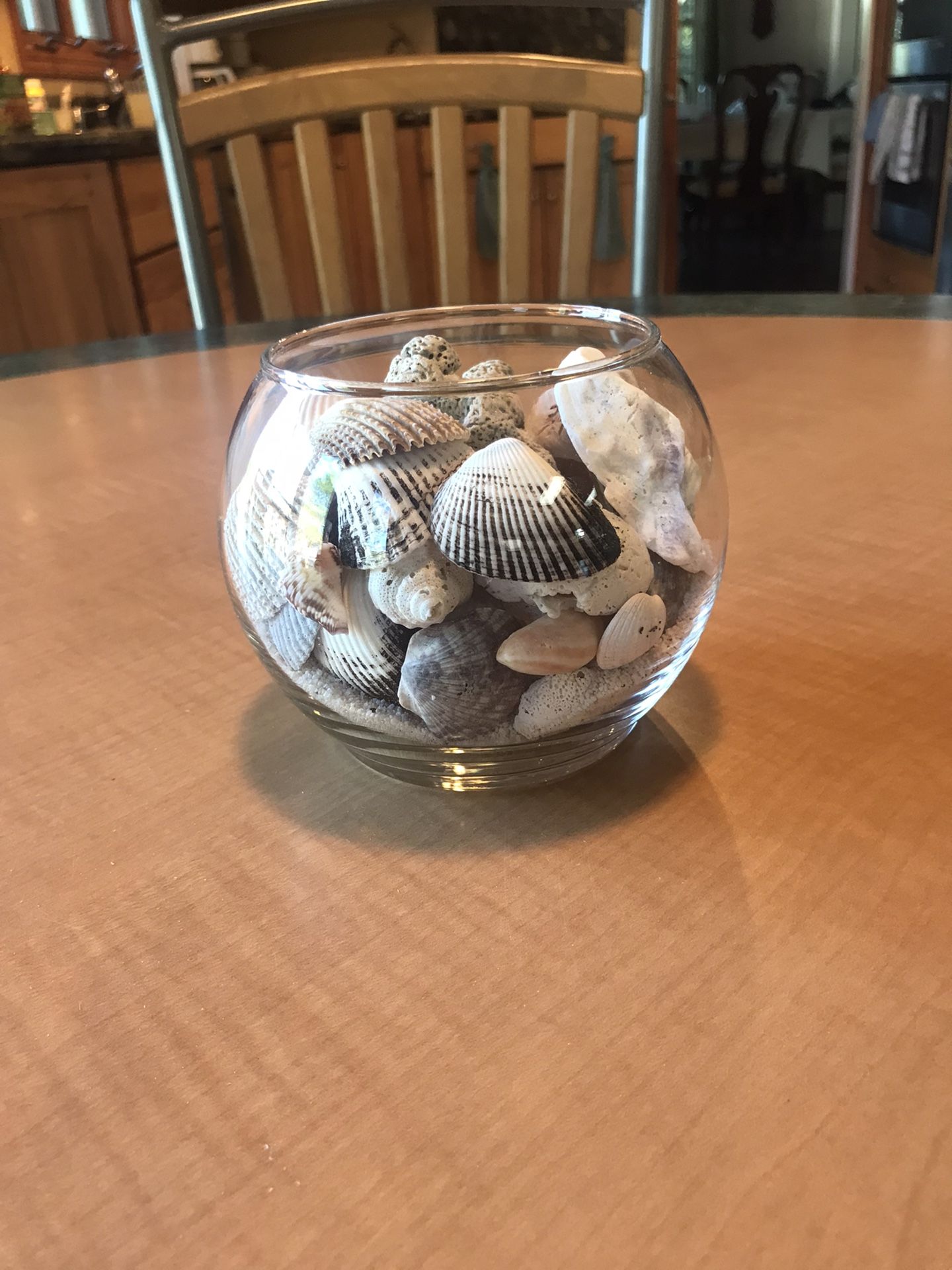 Glass globe of Sea Shells