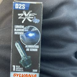 Headlight Bulbs