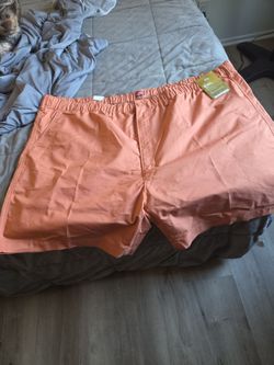 Levi brand shorts