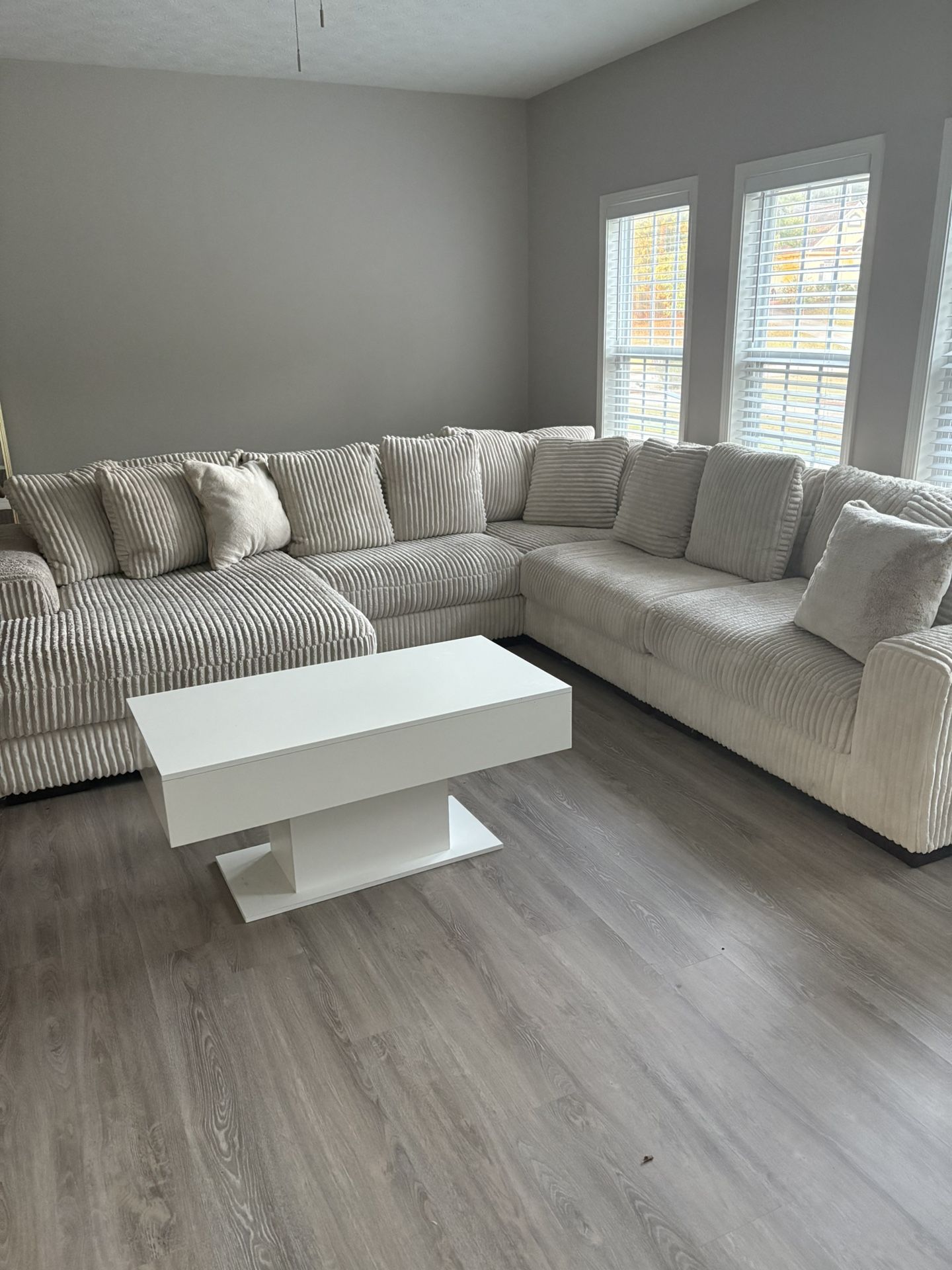 Living room Furniture
