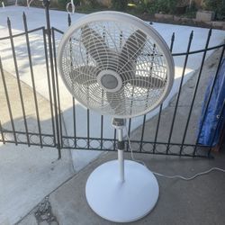 Fan 