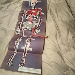 Halloween decoration