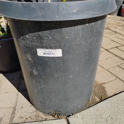 18" X 16"   Used Plastic Containers For Trees/Plants 