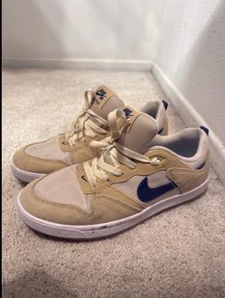 Nike SB Low-Top Skate Sneakers