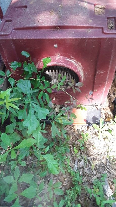 Swamp Cooler