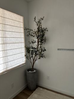 Large Concrete pots and faux olive trees matching set