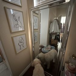 Silver Mirror 
