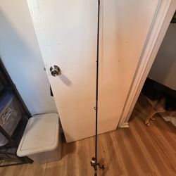 Fishing Rods