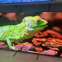 Sony 77-inch 4k 120hz qd oled smart tv xr-77a95L 
