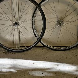 Campagnolo Track Wheelset Alexrim 700c Bianchi Shimano Hub Fixie Fixed Gear Single Speed Road Gravel