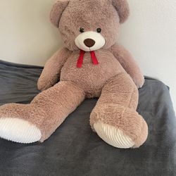 $20 Big Teddy 
