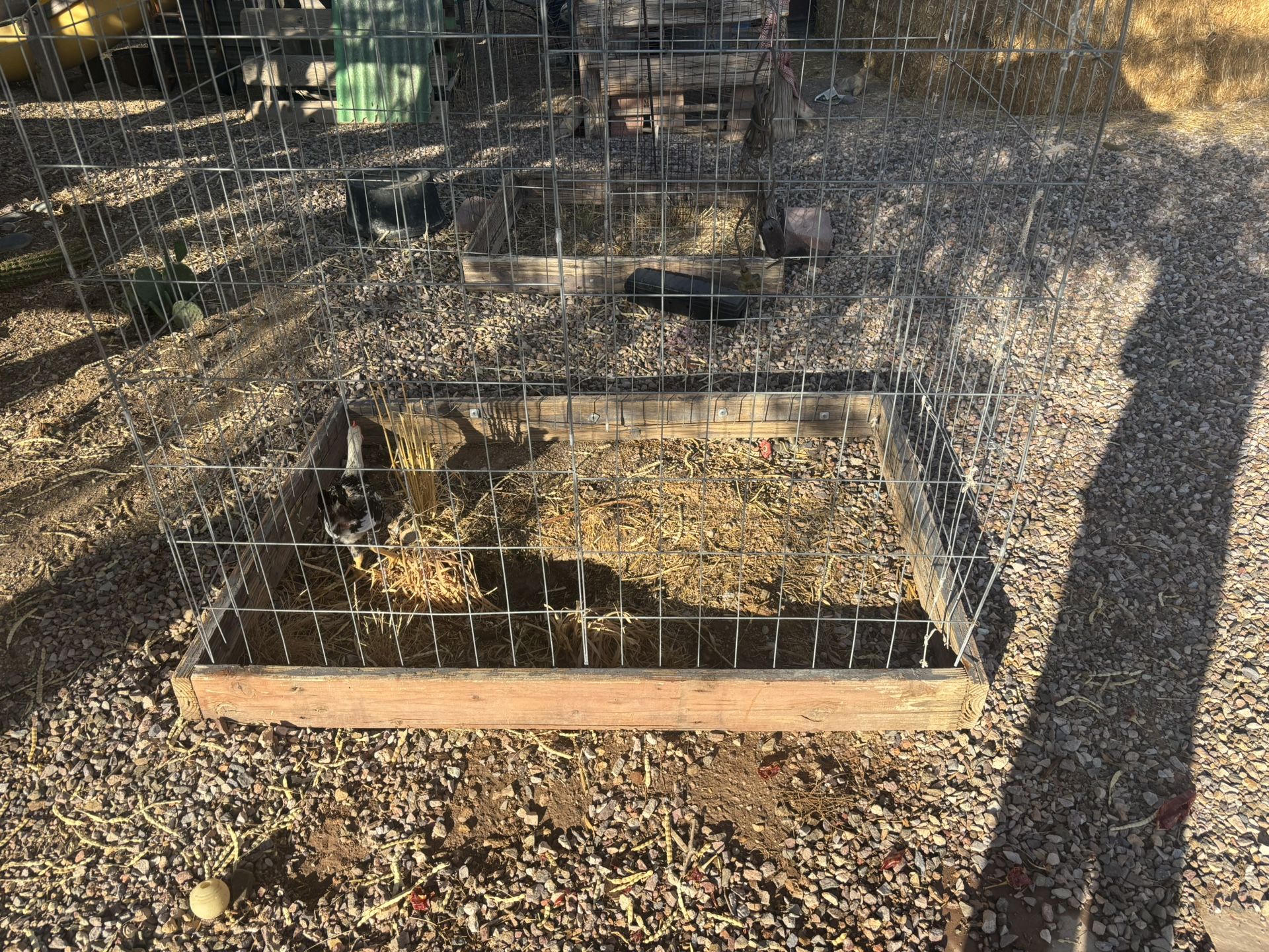 Chicken Cages For Sale 