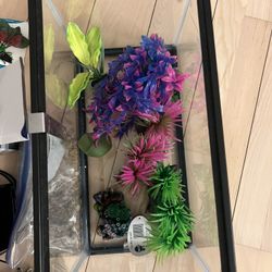 5 gal aquarium and set up