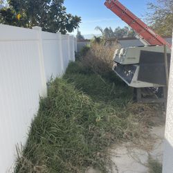 Yard Clean Up 