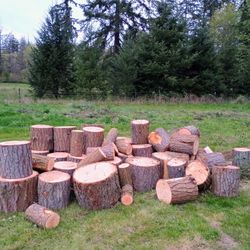 Douglas Fir Or White Alder 100 For Cord Of Rounds 