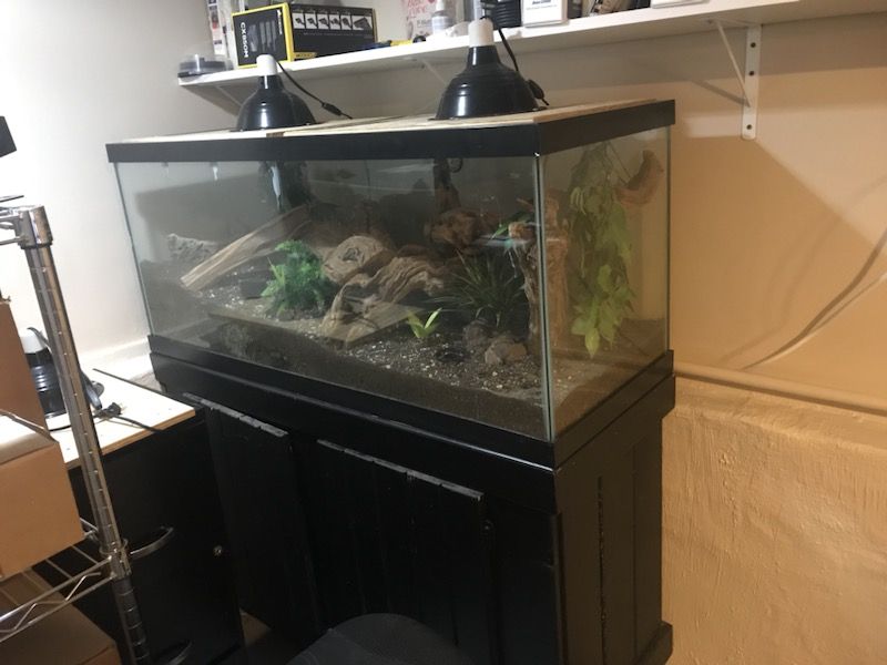 75 gallon reptile tank
