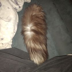 Cute Fluffy Cosplay Tail Keychain