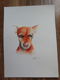 Watercolor painting,dog,15x11''