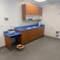 Cabinets medical/veterinary, reception desk, doors