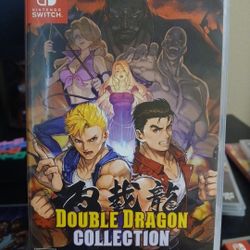 Nintendo Switch Double Dragon Collections